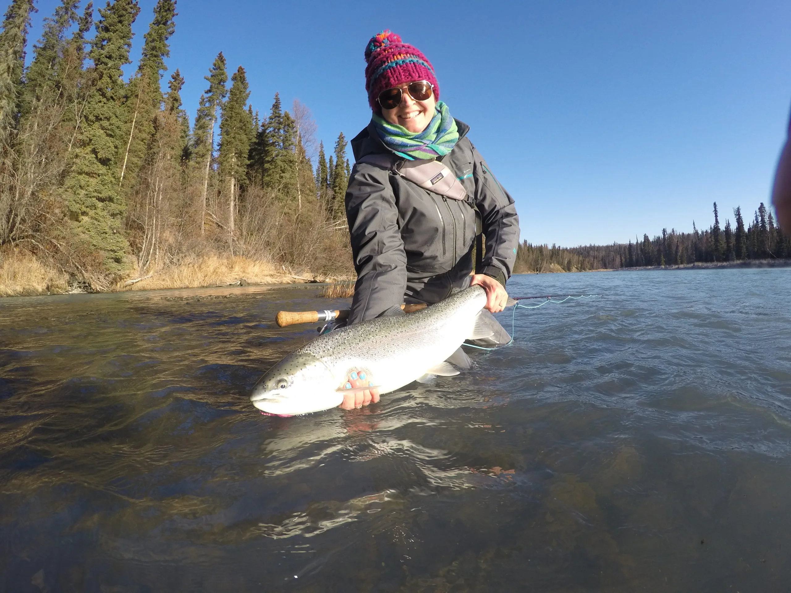 Steelhead fly fishing on a Kenai Peninsula river